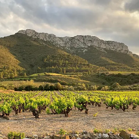 La Roche - 2 Etoiles Eco Responsable Avec Tv Connectee * Maury