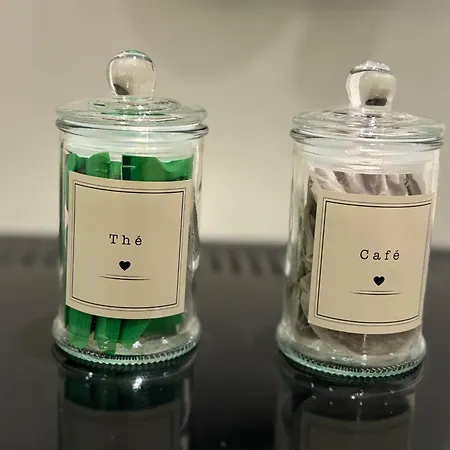 La Roche - 2 Etoiles Eco Responsable Avec Tv Connectee Maury